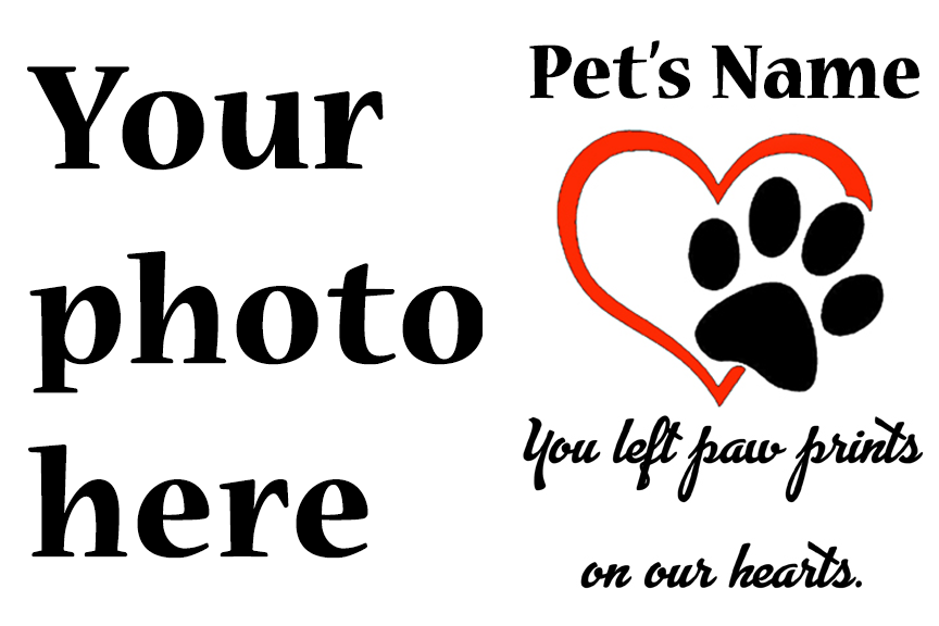 You left paw prints on our hearts slatwood memory board (8"x12")