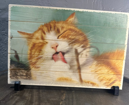 Slatwood Display Stands